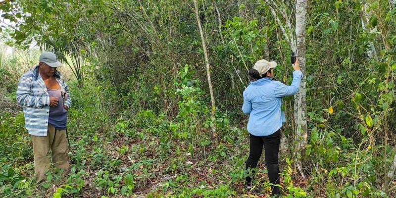 Impulsan la sostenibilidad y conservación de los recursos naturales en Petén
