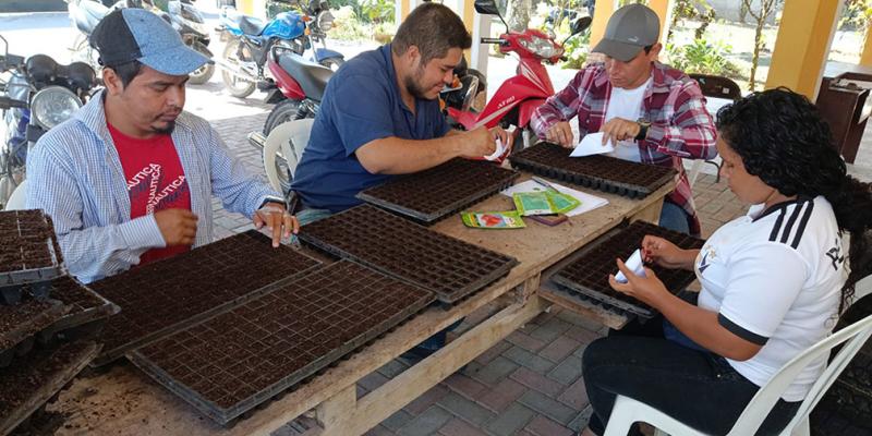 Producción de pilones y diversificación de cultivos contribuyen al desarrollo en Petén