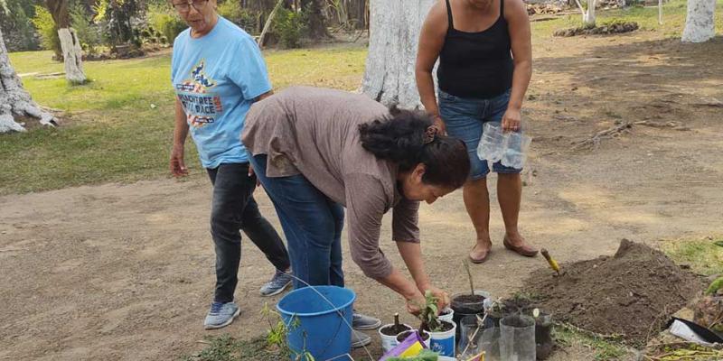 Producción de hortalizas beneficia a familias de San Miguel Petapa