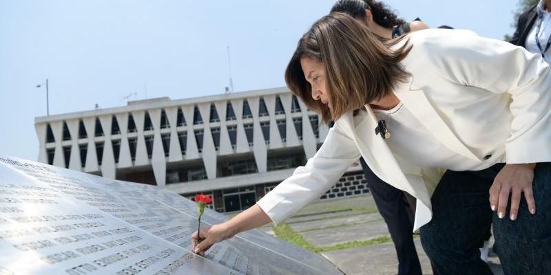 Vicepresidenta Karin Herrera