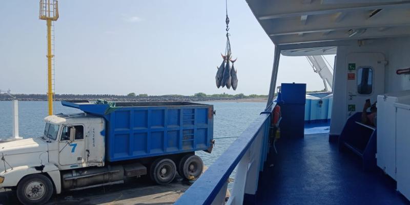 Velan por el cumplimiento de regulaciones internacionales en la pesca de atún
