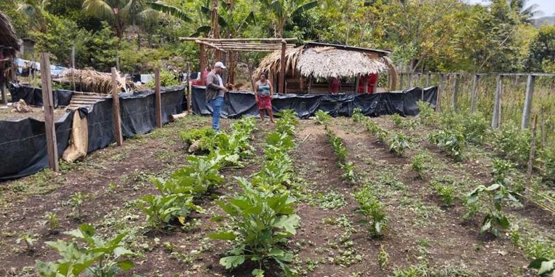 Verifican desarrollo de hortalizas en huertos familiares