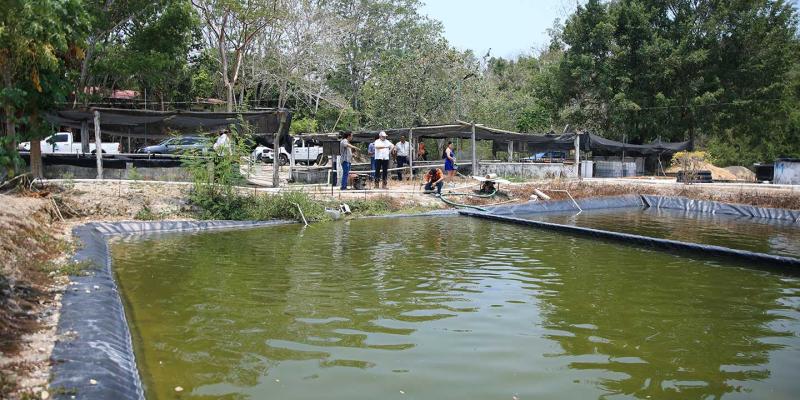 Visitan Centro Ecoproductivo Agropecuario de Petén