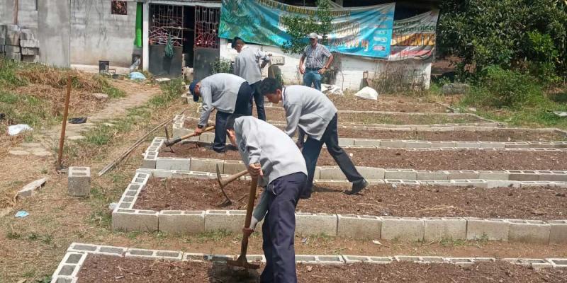 Sigue la implementación de los Huertos Escolares Pedagógicos