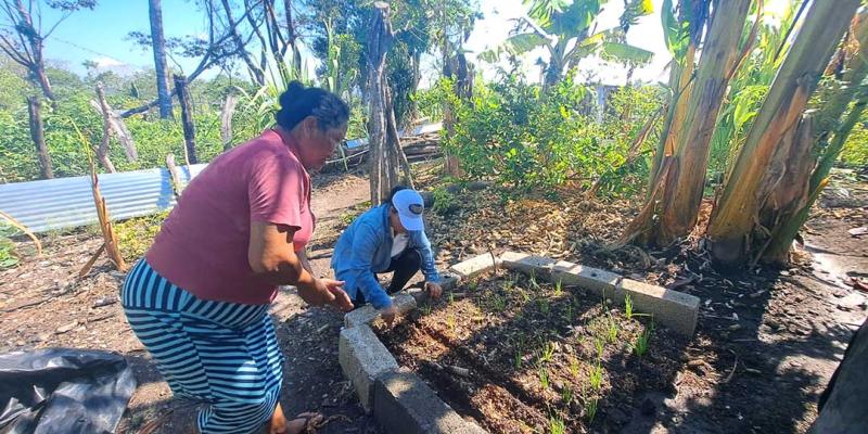 Dan seguimiento a manejo de huertos familiares en San Andrés, Petén para fortalecer sus capacidades