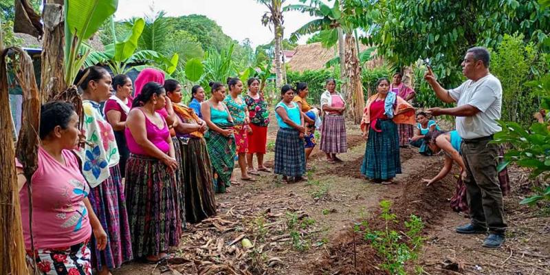Aprenden procesos de los Huertos Familiares