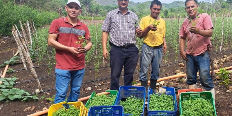 Entregan pilones de diferentes variedades de chiles