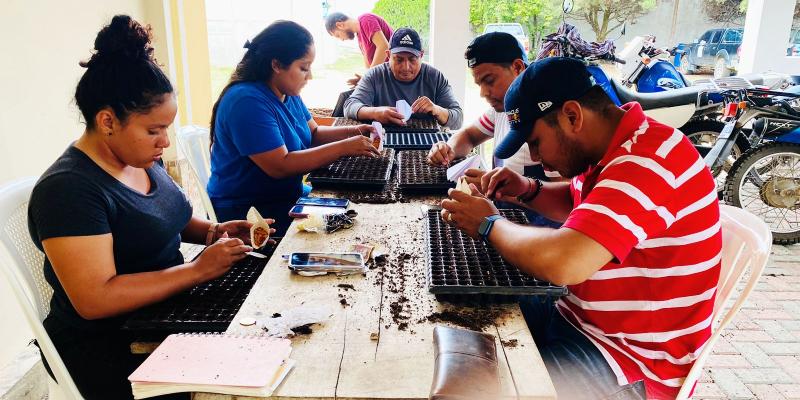 Fomentan siembra de vegetales en Petén