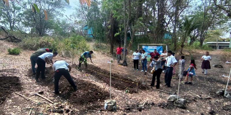 Implementan huertos urbanos y periurbanos