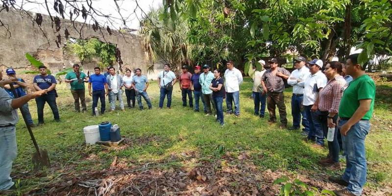 Mejoran salud de suelos mediante organismos de montaña