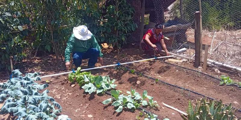 Beneficiadas 18 mil familias con raciones de alimentos por acciones