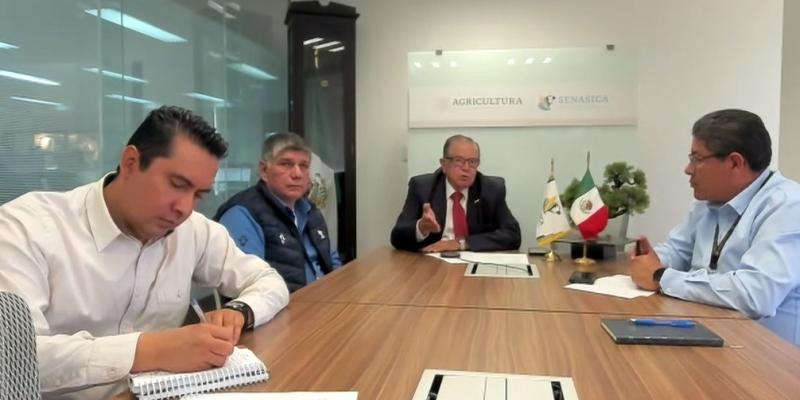 Guatemala y México fortalecen acciones contra el gusano barrenador