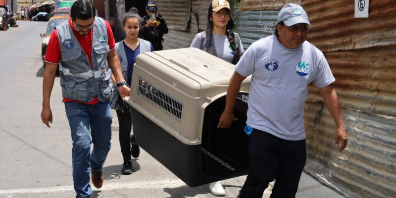 Entrega voluntaria de animales a la UBA