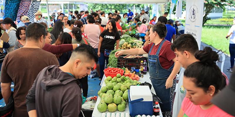 Ferias del Agricultor generan ventas por más de un 1.6 millones de quetzales
