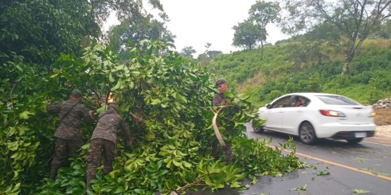 Ejército de Guatemala contribuyó en el despeje de carretera afectada por la caída de árboles en el departamento de San Marcos.