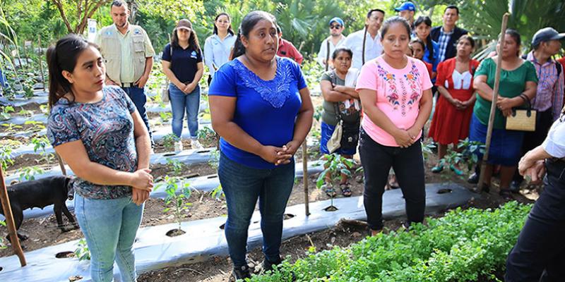 Programa Pro-Resiliencia beneficia a seis mil hogares