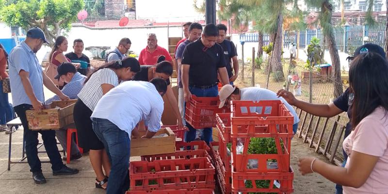 Entregan pilones de hortalizas a 234 centros educativos de San Marcos