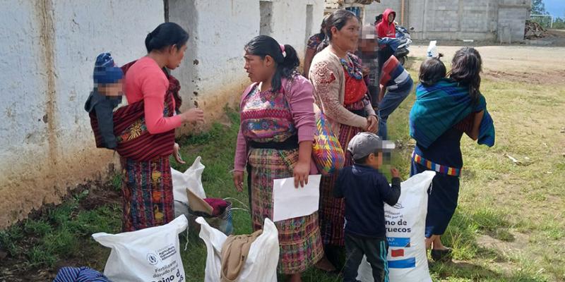 Fertilizantes llegan a los agricultores de Totonicapán