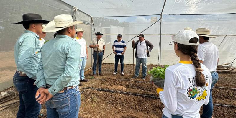 Implementan Huerto Escolar en Zacapa