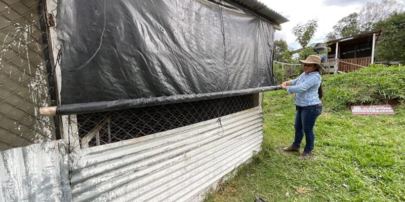 Recomendaciones agropecuarias ante onda tropical que ocasiona lluvias fuertes