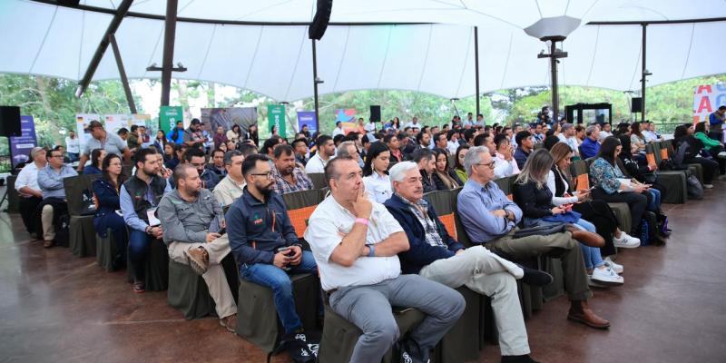 Sector de plantas, flores y follajes muestra crecimiento