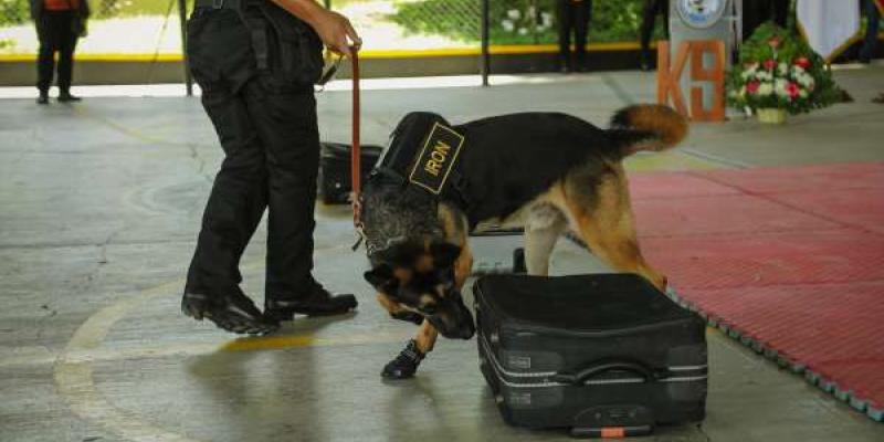 Los agentes K9 de la SBS fueron reconocidos entre los primeros tres lugares del curso de actualización.