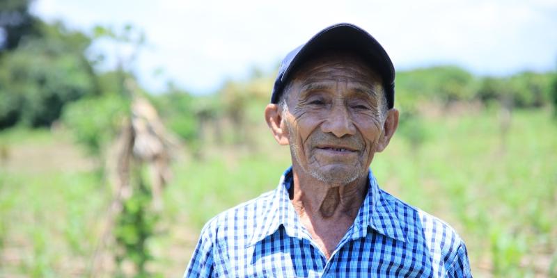 Así es la cobertura del Seguro Agropecuario