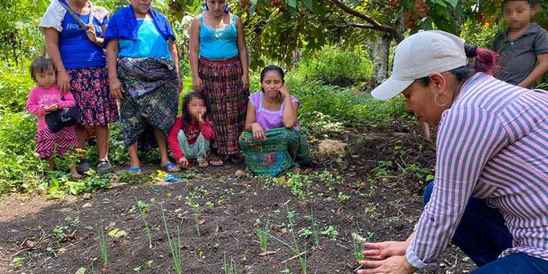 Brindan asistencia técnica en huertos familiares