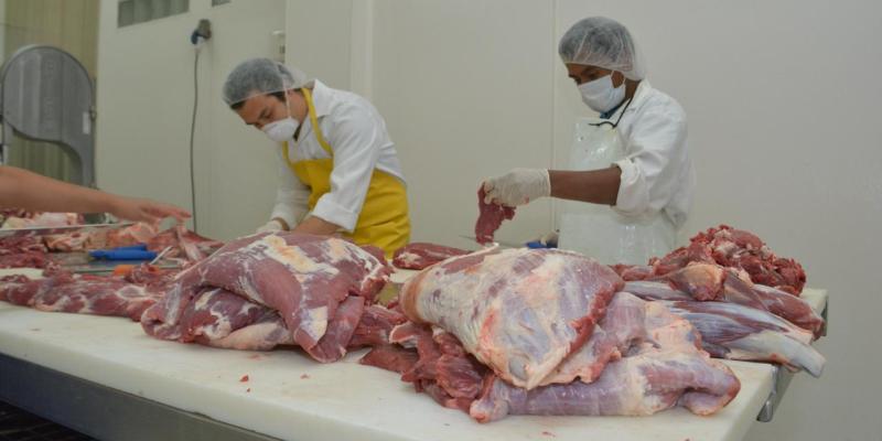 El consumo de carne es seguro, gusano barrenador no representa riesgo