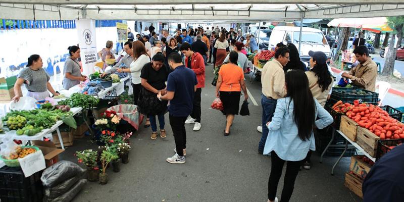 Las 81 ediciones de la Feria del Agricultor favorecen a 3 mil productoras y productores