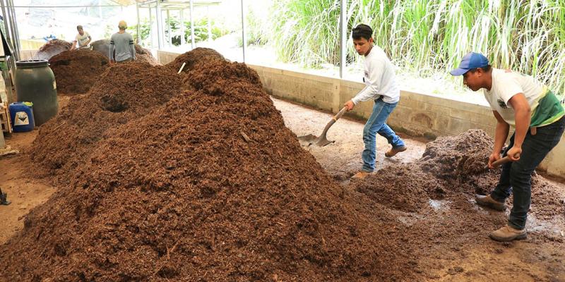 Agricultura generativa para mejorar los suelos