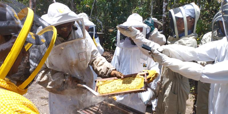 Finaliza diplomado en Apicultura Tropical con Énfasis en Manejo Orgánico de Apiarios