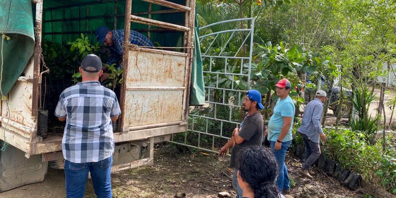 Entregan parcelas demostrativas de rambután en Poptún