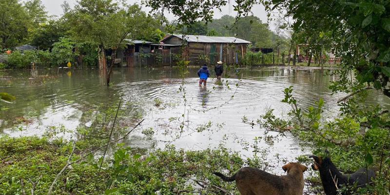 MAGA se encuentra en apresto para atender a damnificados por tormenta Sara