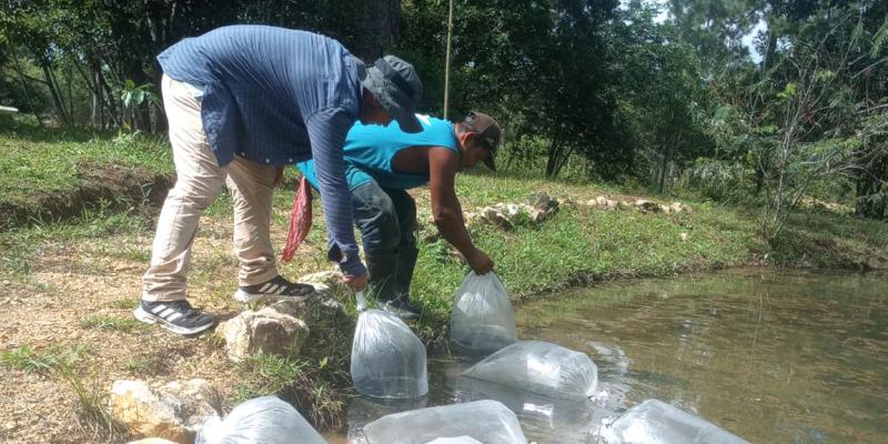 Fortaleciendo la seguridad alimentaria y el desarrollo comunitario en Petén