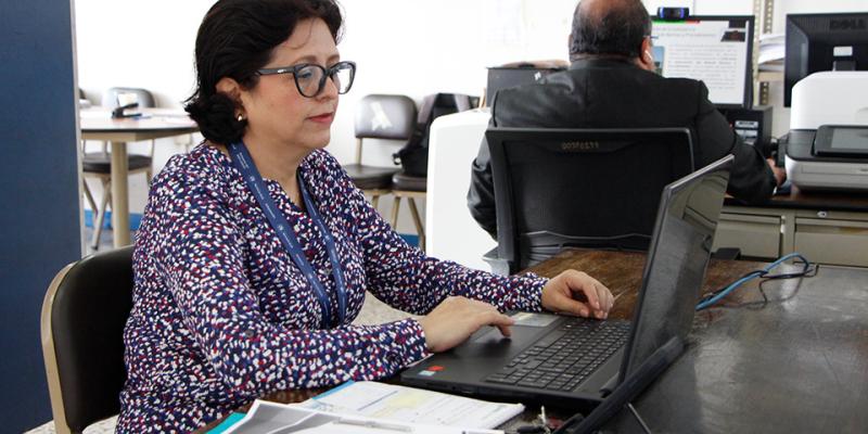 La capacitación virtual se desarrolló durante tres días.