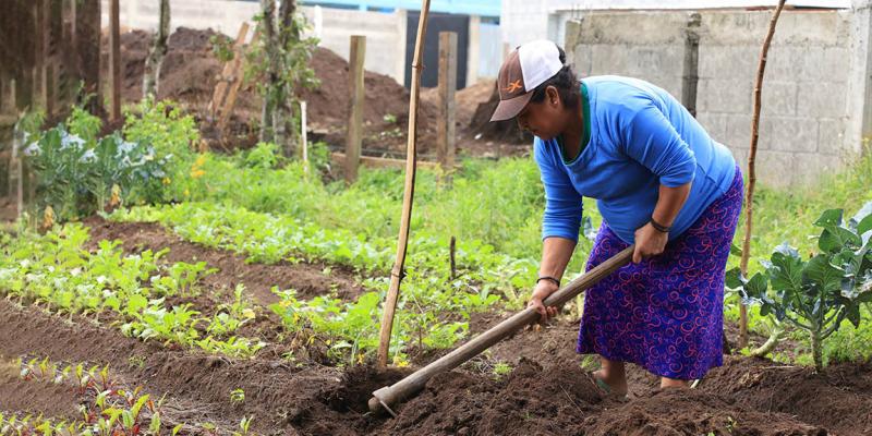 ¿Conozca qué es la agricultura de infra y la de subsistencia?