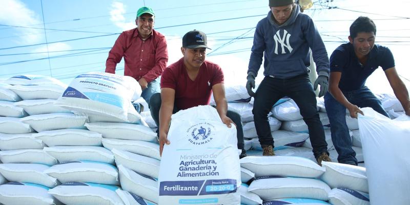 Bono Campesino apoya cultivo de hortalizas