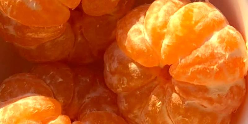 Conozca en dónde se cultiva mandarina en Guatemala