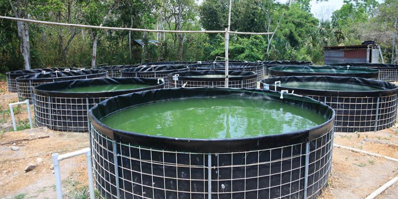 Conozca que hace el Centro Ecoproductivo El Remate