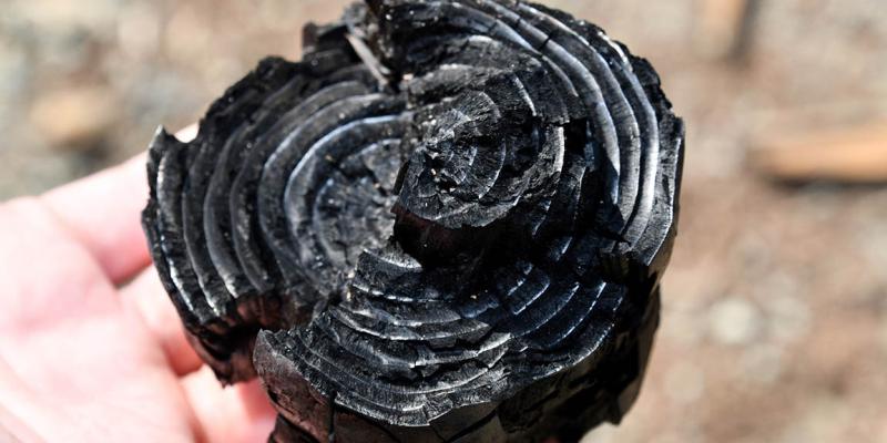 Conozca qué es el biochar