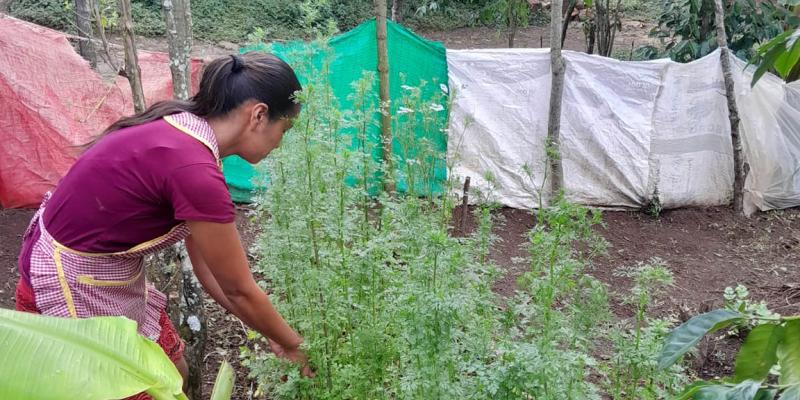 Disponibles capacitaciones para acceder al programa Alimentos por Acciones