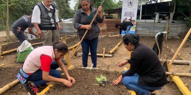 Más de 117 mil personas capacitadas para fortalecer agricultura familiar