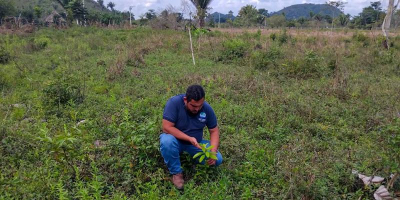 Seguimiento a sistemas silvopastoriles en Petén