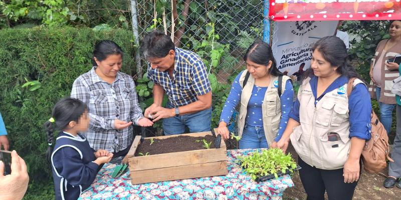 Un reto para las familias guatemaltecas: iniciar 2025 con un huerto familiar