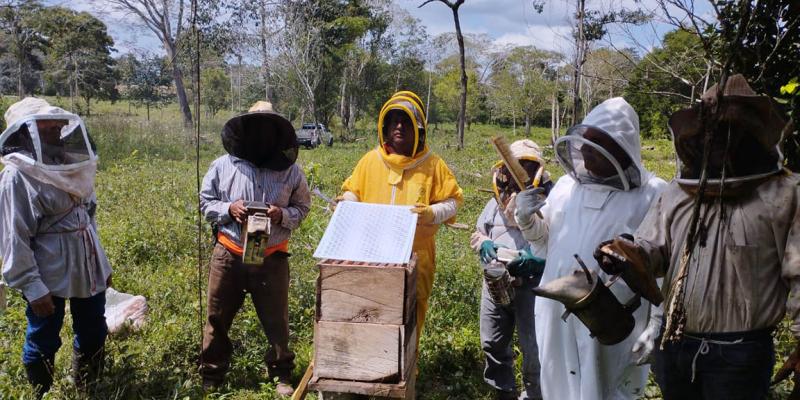Apicultores de Santa Ana capacitados para mejorar producción de miel