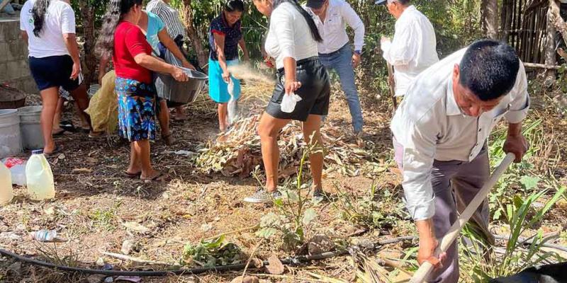 Brindan asistencia técnica para la mejora de cultivos y producción de abonos orgánicos