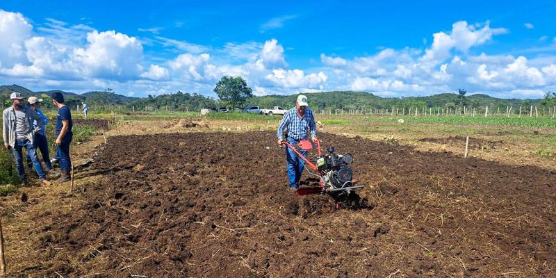 Estudiantes peteneros aprenden a preparar el terreno para cultivar jalapeños