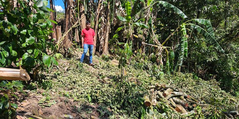 Impulso a la agricultura familiar con la creación de huertos en Camotán
