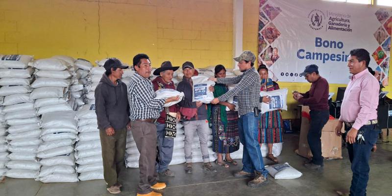 Impulso al uso de semillas nativas criollas para fortalecer la agricultura familiar